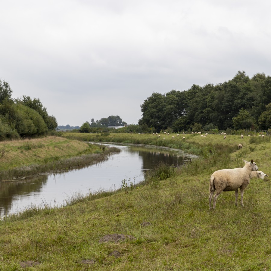 De Steenwijker Aa | In de omgeving