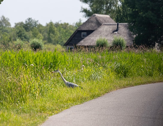 Bezichtigingen en onderhandelingen in Steenwijk